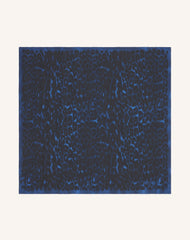 Blue Leopard Print Silk Scarf | Lanvin Women
