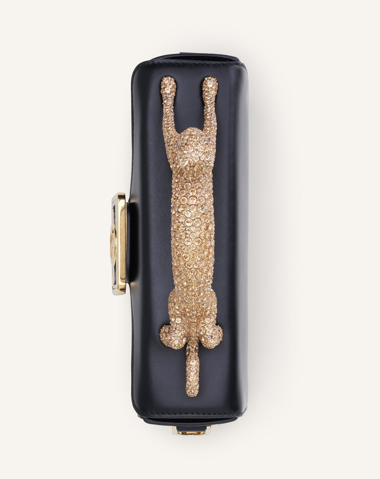 Black Leather Nano Pencil Cat Bag With Rhinestones | Lanvin Women